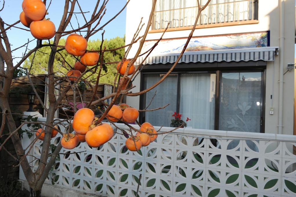 Pavillon De Diane Prades (Pyrenees-Orientales)